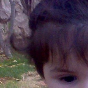 Meet your Posher, Hedaia